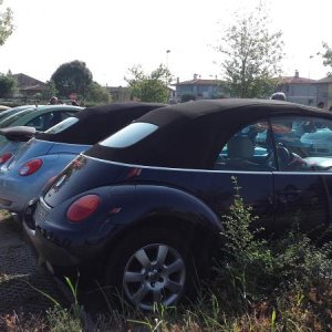 Raduno ad alto grad....azione ! :-D