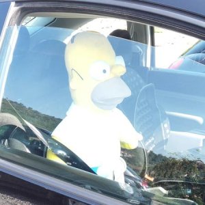 Raduno ad alto grad....azione ! :-D