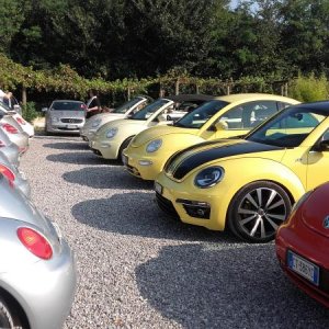 Raduno ad alto grad....azione ! :-D