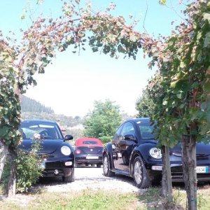 Raduno ad alto grad....azione ! :-D