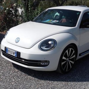 Raduno ad alto grad....azione ! :-D