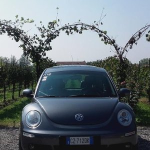 Raduno ad alto grad....azione ! :-D