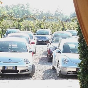 Raduno ad alto grad....azione ! :-D