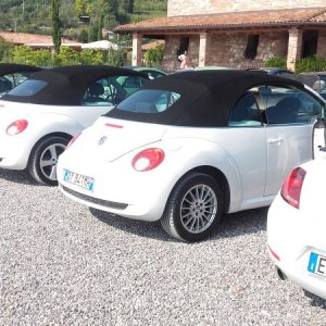 Raduno ad alto grad....azione ! :-D