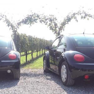 Raduno ad alto grad....azione ! :-D