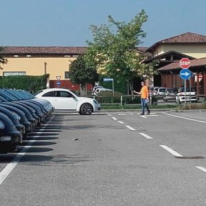 Raduno ad alto grad....azione ! :-D