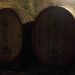 Raduno ad alto grad....azione ! :-D