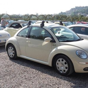 Raduno ad alto grad....azione ! :-D