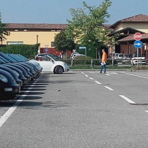 Raduno ad alto grad....azione ! :-D