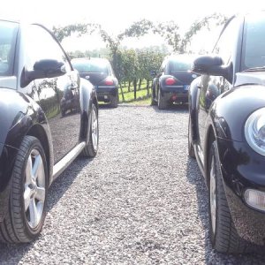 Raduno ad alto grad....azione ! :-D