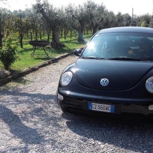 Raduno ad alto grad....azione ! :-D