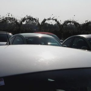 Raduno ad alto grad....azione ! :-D