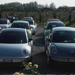 Raduno ad alto grad....azione ! :-D