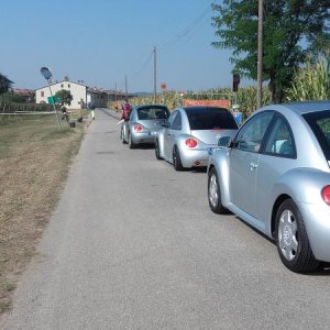 Raduno ad alto grad....azione ! :-D