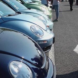 Raduno ad alto grad....azione ! :-D