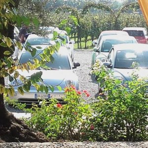 Raduno ad alto grad....azione ! :-D