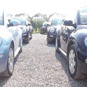 Raduno ad alto grad....azione ! :-D