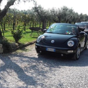 Raduno ad alto grad....azione ! :-D