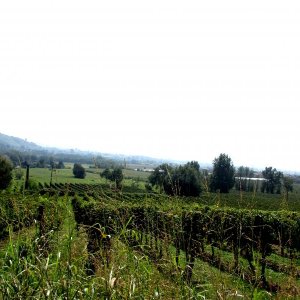 Franciacorta !!!!!!!!!!!!