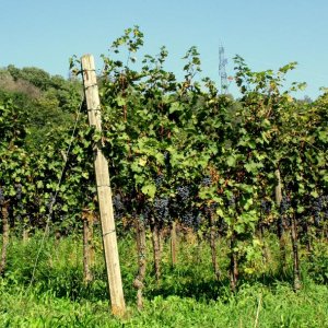 Franciacorta !!!!!!!!!!!!