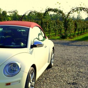 Franciacorta !!!!!!!!!!!!