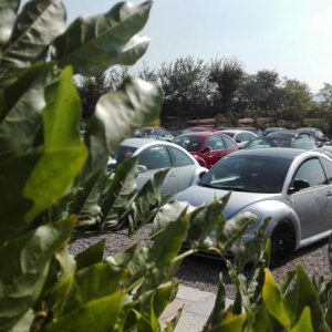 Raduno Franciacorta 2016