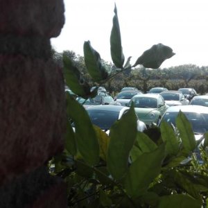 Raduno Franciacorta 2016