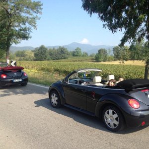 Franciacorta Settembre 2016