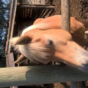 Franciacorta Settembre 2016