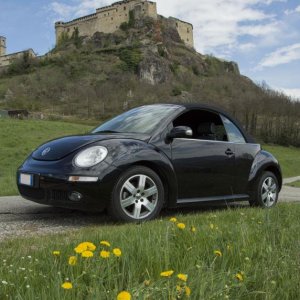 My new beetle @ Bardi..
