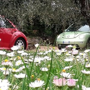 20170402 131305 richtone hdr