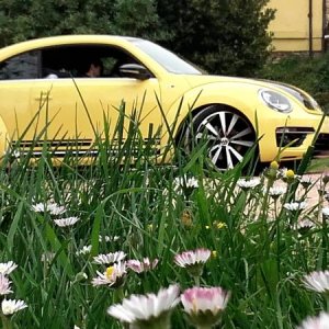 20170402 131138 richtone hdr