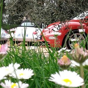 20170402 131149 richtone hdr