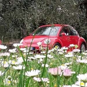 20170402 131232 richtone hdr