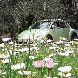 20170402 131438 richtone hdr