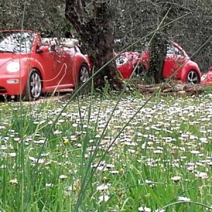 20170402 130954 richtone hdr