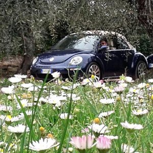 20170402 131516 richtone hdr