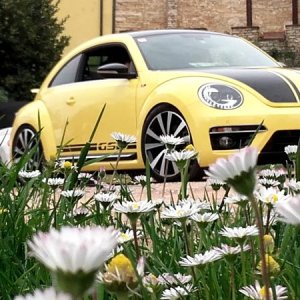 20170402 131129 richtone hdr