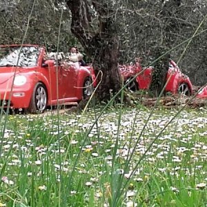 20170402 131007 richtone hdr