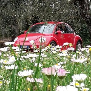 20170402 131227 richtone hdr