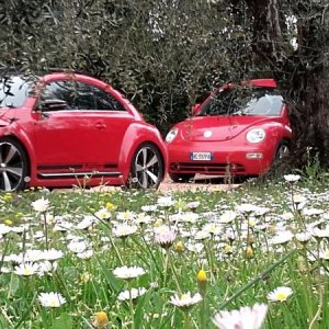 20170402 131107 richtone hdr