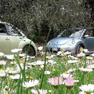 20170402 131447 richtone hdr