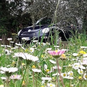 20170402 131704 richtone hdr