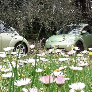 20170402 131428 richtone hdr