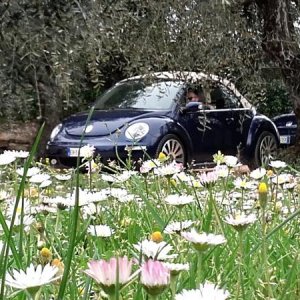 20170402 131550 richtone hdr