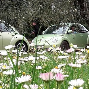 20170402 131431 richtone hdr