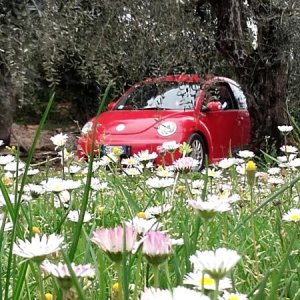 20170402 131221 richtone hdr