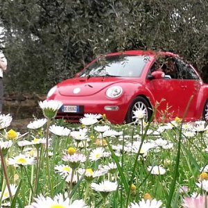 20170402 131257 richtone hdr