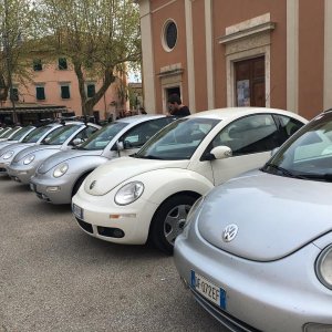 Raduno di primavera 2017