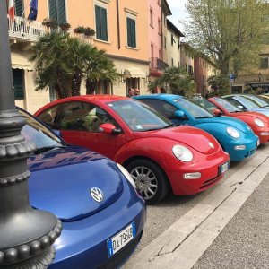 Raduno di primavera 2017